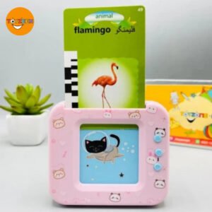 Learning Educational Flash Cards-98