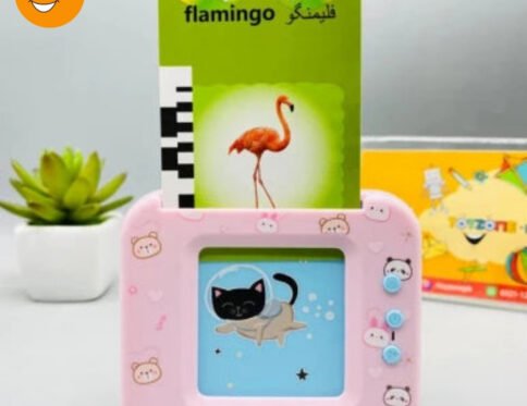 Learning Educational Flash Cards-98