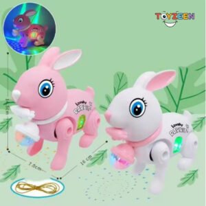 3D Rabbit-107