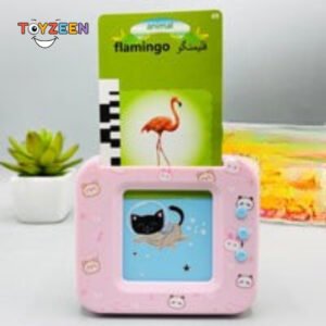 109 Flash Cards Early Education Device-209